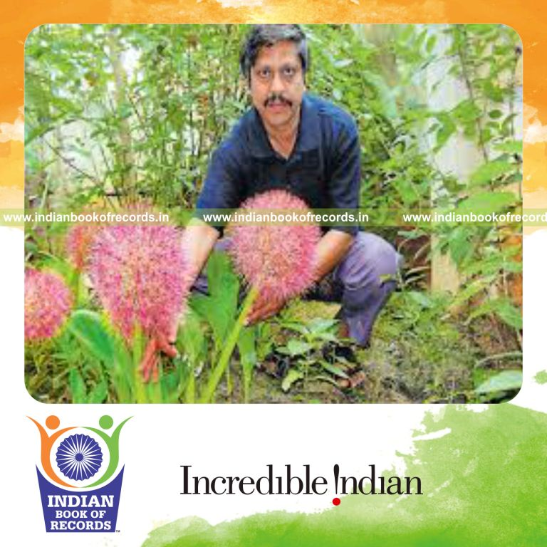 tallest bettadaa tavare tree recorded for Indian Book of Records