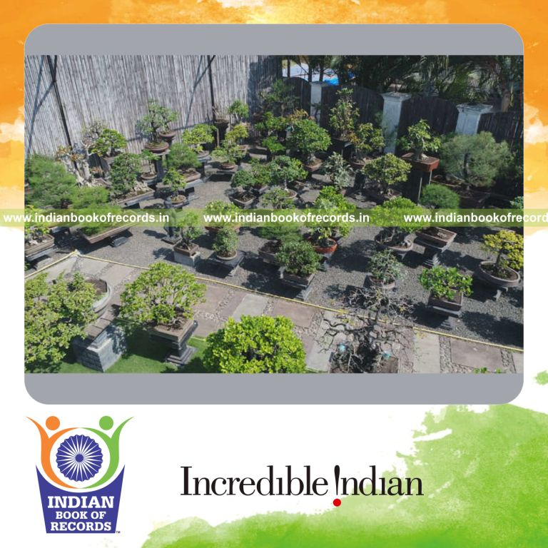 a large collection of bonsai trees arranged and exhibited together for a record in Indian Book of Records