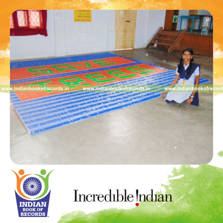 mosaic artwork created using pens by minor female for Indian Book of Records
