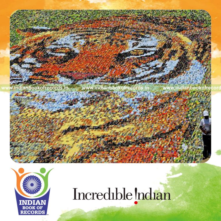 team creating large mosaic using postcards for record in Indian Book of Records