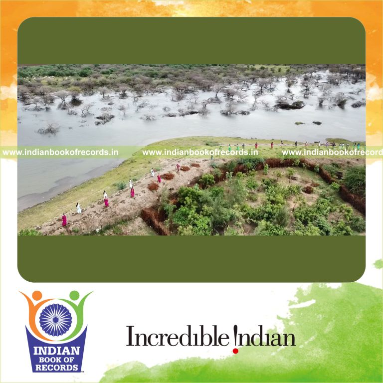 Extensive seed plantation activity carried out at various locations within twelve hours for the Indian Book of Records