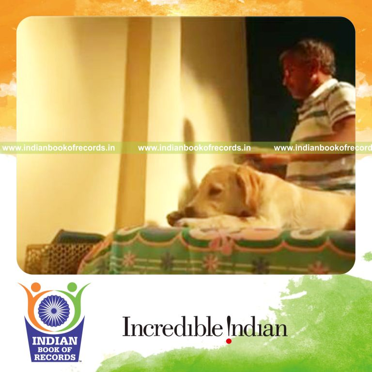 individual bouncing baseball off building while petting dog in 30 seconds for record in Indian Book of Records