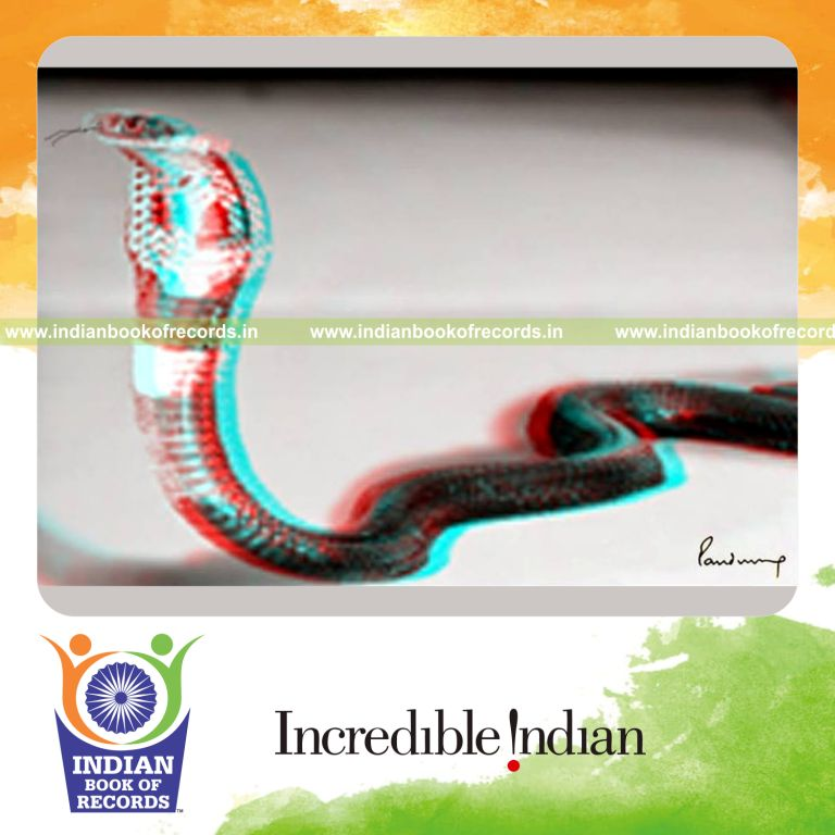 3d illusion drawings created by individual for Indian Book of Records