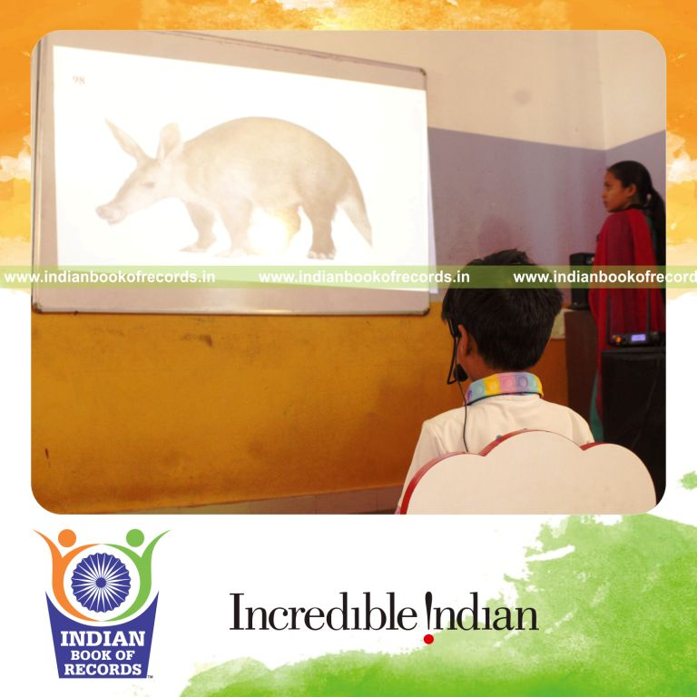 A child identifying multiple animal images quickly on a digital screen recognized by Indian Book of Records