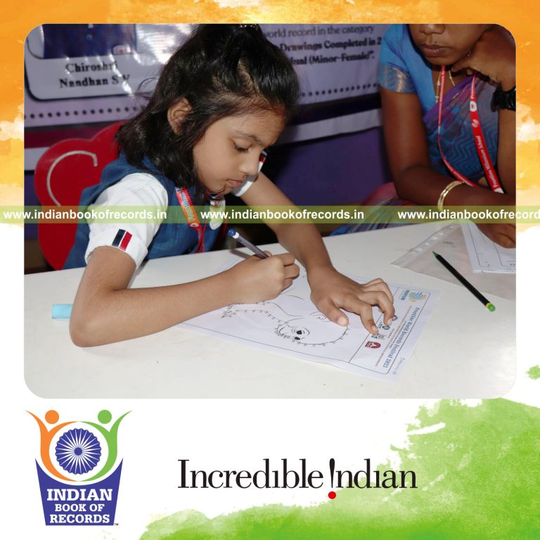 Multiple dot-to-dot drawings completed quickly within a short time frame for Indian Book of Records