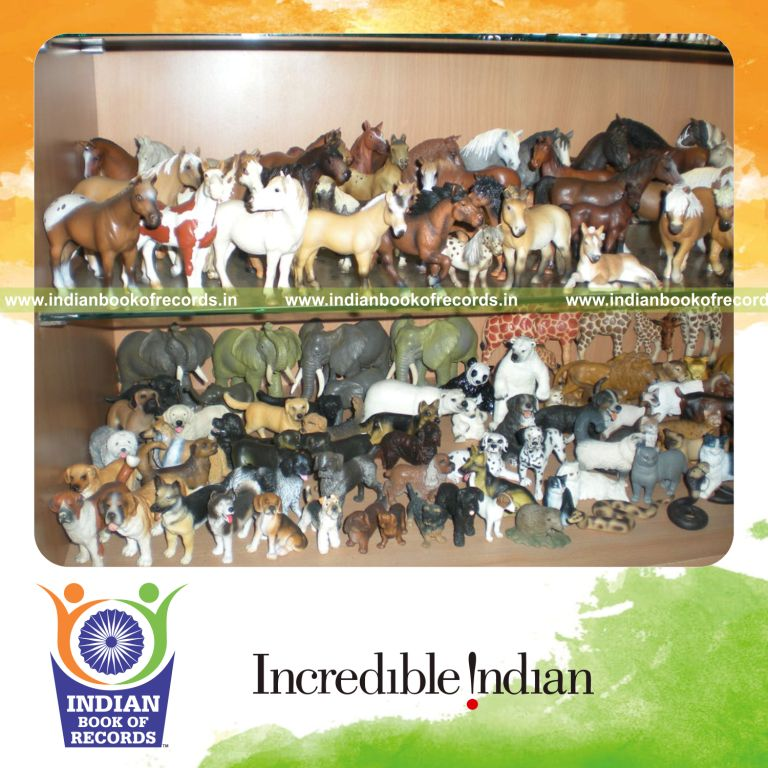 male individual collecting animal miniatures for record in Indian Book of Records
