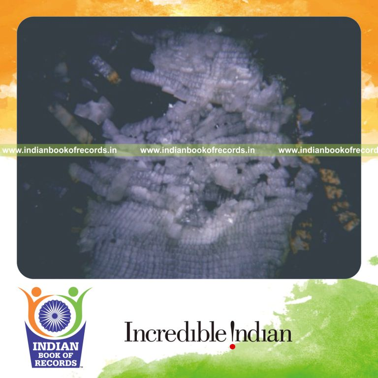 person cutting single cucumber into maximum pieces for Indian Book of Records