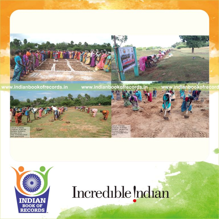 Large-scale planting of palmyra palm seeds across multiple locations within hours for Indian Book of Records