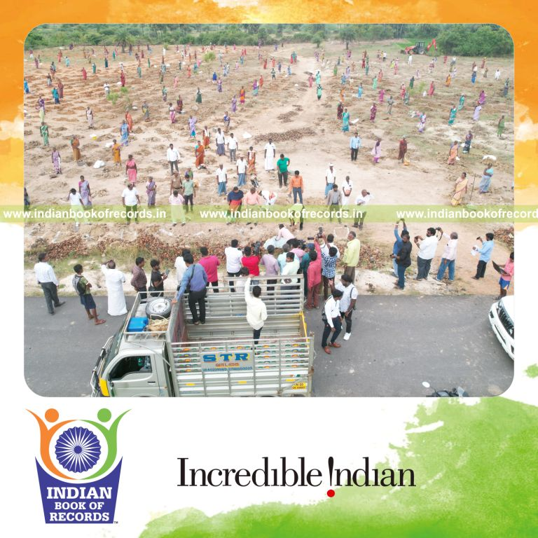 Large-scale planting of palmyra palm seeds across multiple venues within hours for Indian Book of Records