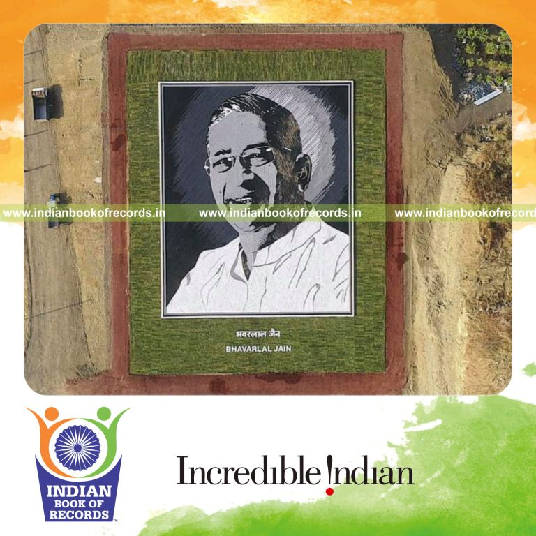 Massive mosaic portrait created using arranged plastic pipes recognized by Indian Book of Records
