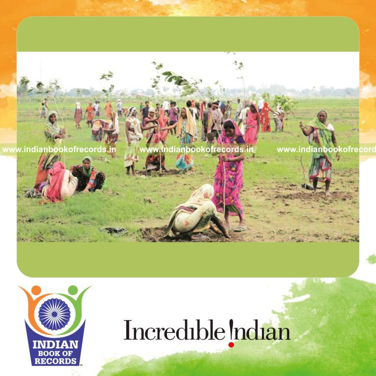 saplings planted simultaneously in one day for Indian Book of Records