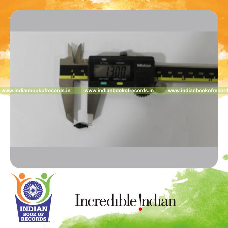 a very small 3d printed sculpture replicating the statue of unity created with precision for a record in Indian Book of Records