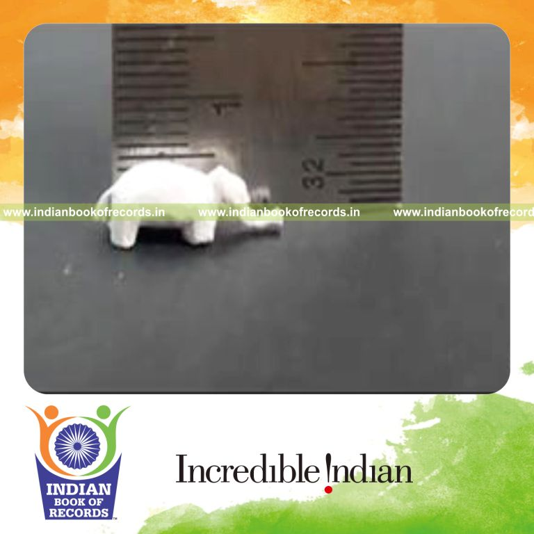 smallest elephant sculpture carved from chalk for record in Indian Book of Records