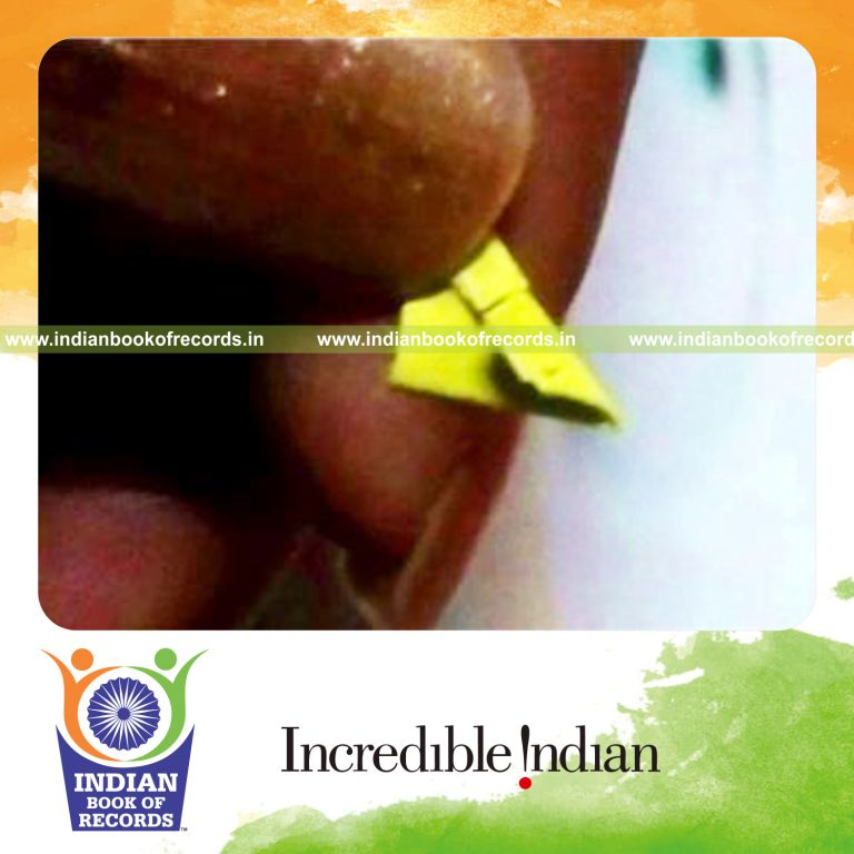 smallest paper swan crafted for record in Indian Book of Records