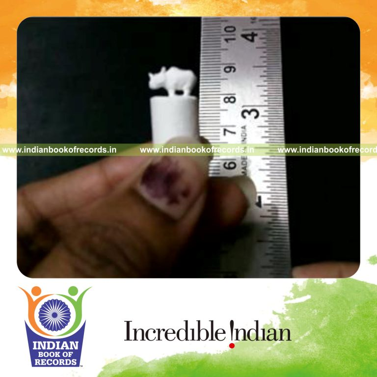 smallest rhinoceros figurine created for record in Indian Book of Records