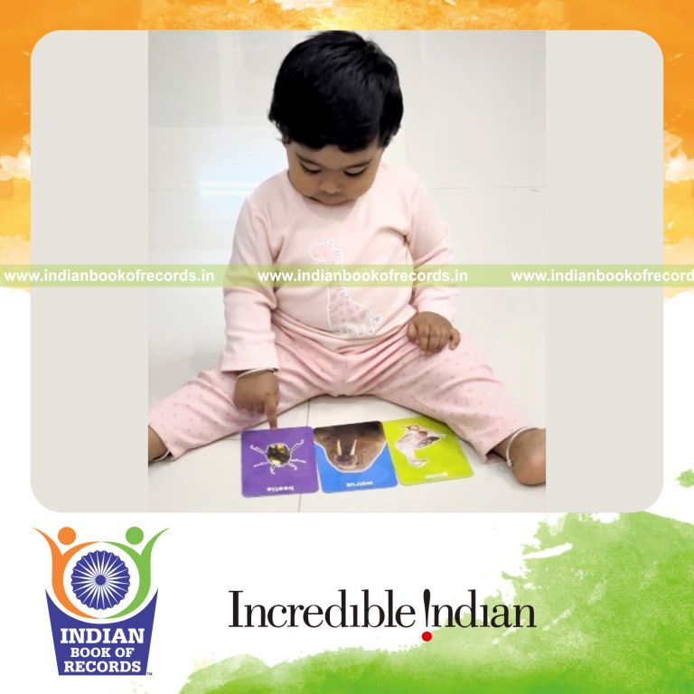 Toddler rapidly identifying a large set of flashcards in a quick session recognized by Indian Book of Records