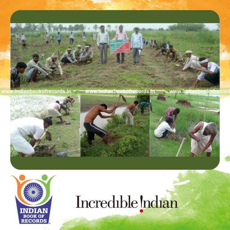 maximum number of trees planted in 24 hours by a team for Indian Book of Records